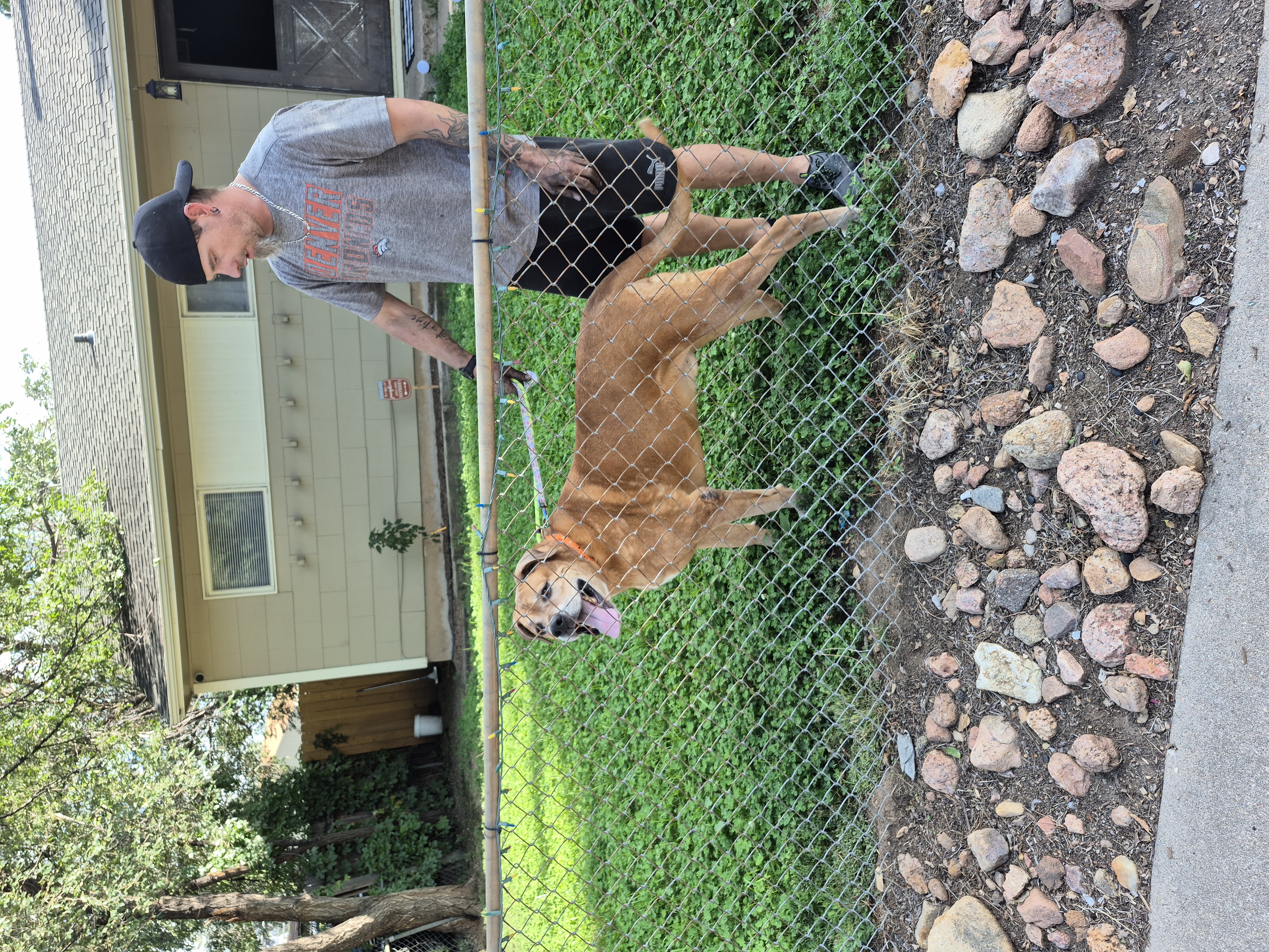 Clifford, photo 3